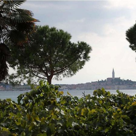 Linea Mare Apartment Rovinj Kültér fotó