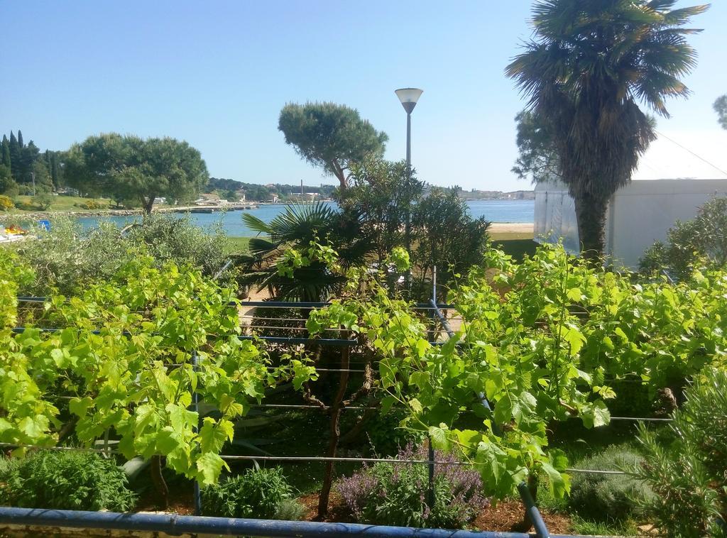 Linea Mare Apartment Rovinj Kültér fotó